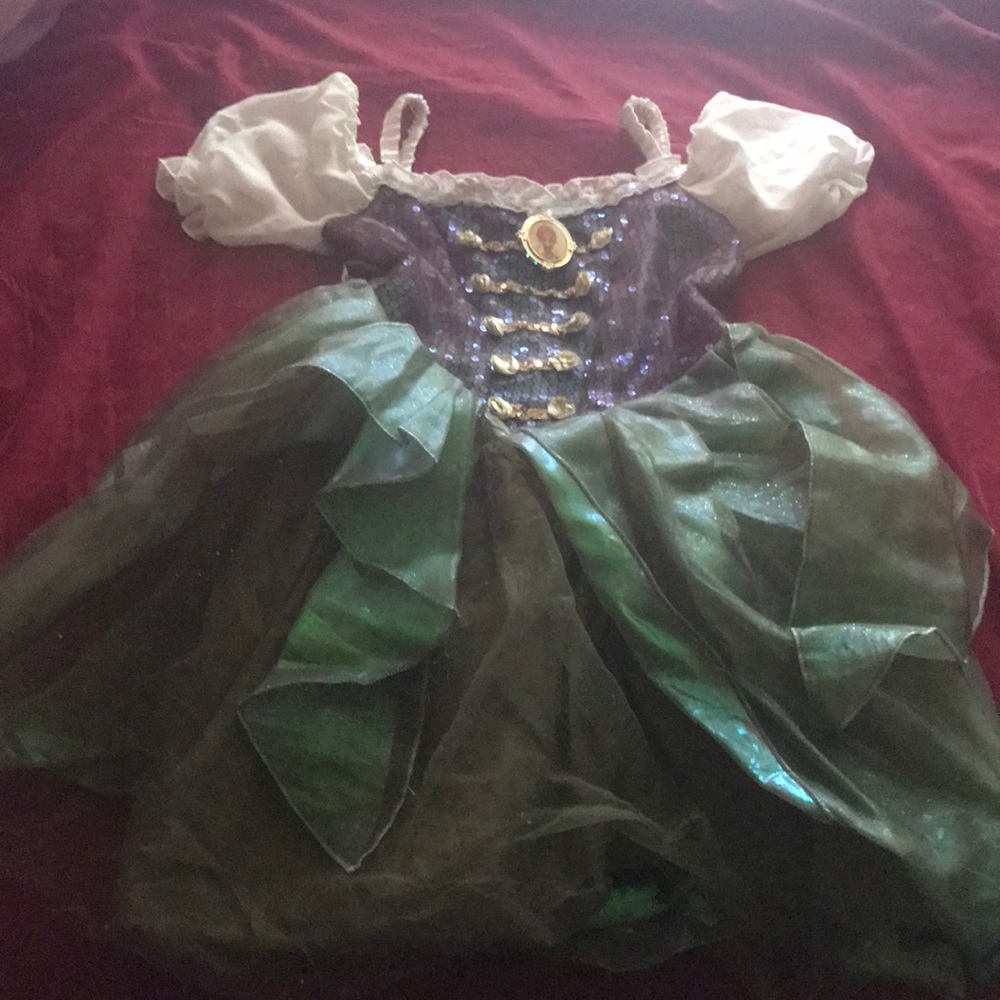 Disney store costume